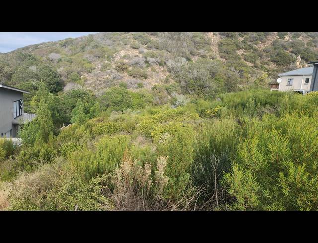 919M² VACANT LAND FOR SALE IN ISLAND VIEW
